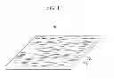 Fig. 02 - Polarization film and display device