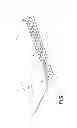 Fig. 02 - Flexible substrate lighting fixtures