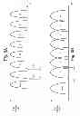 Fig. 09 - Internal data load for non-volatile storage