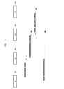 Fig. 05 - Method and apparatus for controlling congestion status of mobile communication network