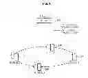 Fig. 02 - Apparatus and method for transmitting data based on cooperation of member nodes belonging to multicast group