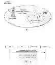 Fig. 02 - Systems and methods for interference cancellation capability reporting and user equipment offloading in heterogeneous networks