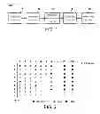 Fig. 02 - Digital broadcasting receiving system and associated signal processing method