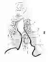 Fig. 02 - Rechargeable canal hearing device and systems