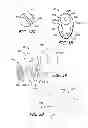 Fig. 09 - Canal hearing devices and batteries for use with same