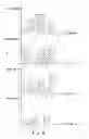 Fig. 08 - Image motion detection method, image processing method and apparatus using the methods