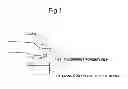 Fig. 02 - Determination device, fingerprint input device, determination method and determination program for detecting the forgery of a finger