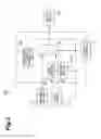 Fig. 04 - Fluorescent light observation device and fluorescent light observation method