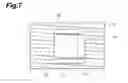 Fig. 08 - Fluorescent light observation device and fluorescent light observation method