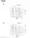 Fig. 09 - Fluorescent light observation device and fluorescent light observation method