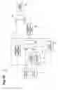 Fig. 11 - Fluorescent light observation device and fluorescent light observation method