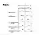 Fig. 13 - Fluorescent light observation device and fluorescent light observation method