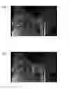 Fig. 14 - Fluorescent light observation device and fluorescent light observation method