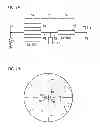 Fig. 08 - FLEXIBLE CIRCUIT BOARD