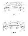 Fig. 06 - Double split blade lock ring