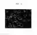 Fig. 03 - SPLINE HUB FOR CLUTCH AND MANUFACTURING METHOD THEREOF