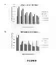 Fig. 10 - Artificial placenta