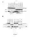 Fig. 02 - Methods and compositions comprising a C-terminal Bax peptide