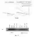 Fig. 20 - Methods and compositions comprising a C-terminal Bax peptide