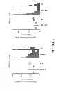Fig. 07 - METHODS FOR DETECTING NEURODEGENERATIVE DISEASES OR DISORDERS