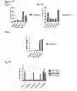 Fig. 07 - TDP-43 specific binding molecules
