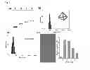 Fig. 02 - Contrast medium composition and method of bio imagination using the same