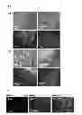 Fig. 06 - Contrast medium composition and method of bio imagination using the same