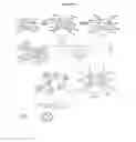 Fig. 06 - Thermal responsive polymer siloxanes, compositions, and method and applications related thereto