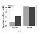 Fig. 26 - Polyphosphate-functionalized inorganic nanoparticles as hemostatic compositions and methods of use