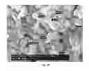 Fig. 31 - Polyphosphate-functionalized inorganic nanoparticles as hemostatic compositions and methods of use