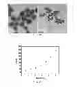 Fig. 46 - Polyphosphate-functionalized inorganic nanoparticles as hemostatic compositions and methods of use