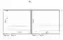 Fig. 02 - EDAR ligand derived peptides and use thereof