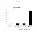 Fig. 04 - EDAR ligand derived peptides and use thereof