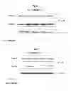 Fig. 06 - EDAR ligand derived peptides and use thereof