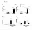 Fig. 11 - Tumor Selective Chemokine Modulation