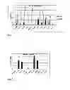 Fig. 04 - DNA vaccine, method of inducing the immune response, method of immunisation, antibodies specifically recognising the H5 haemagglutinin of an influenza virus and use of the DNA vaccine