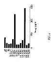 Fig. 06 - Amino acid substituted molecules