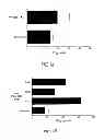Fig. 08 - Amino acid substituted molecules
