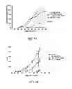 Fig. 09 - Amino acid substituted molecules