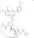 Fig. 98 - Macrocyclic inhibitors of hepatitis C virus