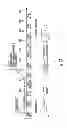 Fig. 07 - COMPOSITIONS, KITS AND METHODS FOR TREATING OBESITY, DIABETES AND HYPERGLYCEMIA
