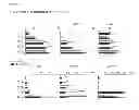 Fig. 05 - GENERATION OF IMMUNOSUPPRESSIVE MYELOID CELLS USING PGE2