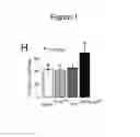 Fig. 06 - Methods, kits, and compositions for stem cell self-renewal