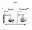 Fig. 07 - Methods, kits, and compositions for stem cell self-renewal