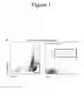 Fig. 08 - Methods, kits, and compositions for stem cell self-renewal