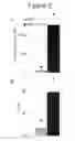 Fig. 12 - Methods, kits, and compositions for stem cell self-renewal