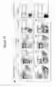 Fig. 40 - Methods, kits, and compositions for stem cell self-renewal