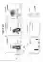 Fig. 74 - Methods, kits, and compositions for stem cell self-renewal