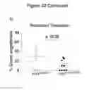 Fig. 75 - Methods, kits, and compositions for stem cell self-renewal