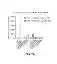 Fig. 08 - ESTROGEN-RECEPTOR BASED LIGAND SYSTEM FOR  REGULATING PROTEIN STABILITY